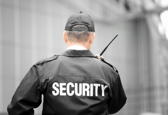 Viking Security Team Kft.